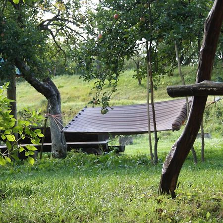 Садиба Під Гострою Zhdeniievo Esterno foto